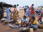 SRI LANKA, Negombo, fish market scene, fishwives selling fish, SLK269JPL
