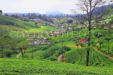 SRI LANKA, Nuwara Eliya, mountain scenery and Tea Plantations (estates), SLK4397JPL