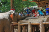 SRI LANKA, Pinnewala Elephant Orphanage, tourists feeding an elephant, SLK2287JPL