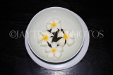 SRI LANKA, Plumeria (Frangipani) flowers in bowl, SLK2581JPL