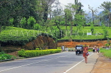 SRI LANKA, Pussellawa, Nuwara Eliya Road running through tea plantations, SLK4174JPL