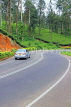 SRI LANKA, Pussellawa, Nuwara Eliya Road running through tea plantations, SLK4209JPL