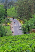SRI LANKA, Pussellawa, Nuwara Eliya Road running through tea plantations, SLK4212JPL