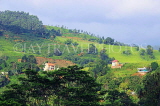 SRI LANKA, Pussellawa, hillside scenery, SLK4227JPL