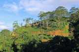 SRI LANKA, Pussellawa, hillside scenery, SLK4342JPL