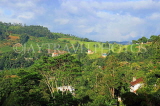 SRI LANKA, Pussellawa, hillside scenery, SLK4461JPL