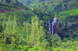 SRI LANKA, Ramboda, Ramboda Falls, SLK4251JPL