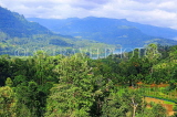 SRI LANKA, Ramboda area (view from), Kothmale Valley scenery, SLK4475JPL