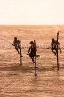 SRI LANKA, south coast, Ahangama area, Stilt Fishermen, dusk view, SLK4757JPL
