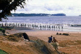SRI LANKA, south coast, Beruwela, fishermen hauling in nets, SLK3281JPL