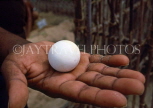 SRI LANKA, south coast, Kosgoda, Turtle Sanctuary, turtle egg, SLK1540JPL