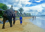 SRI LANKA, west coast, beach with boy on elephant ride, SLK2111JPL