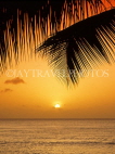 ST LUCIA, Choc Beach, sunset and cocont tree branch, STL747JPL