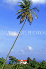 ST LUCIA, Morne Fortune, house and coconut tree, STL732JPL