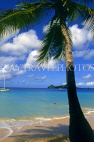 ST LUCIA, Reduit Beach and coconut tree, STL695JPL
