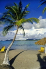 ST LUCIA, Vigie Beach and leaning coconut tree, STL710JPL