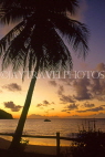 ST LUCIA, sunset and coconut tree, STL698JPL
