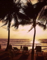 THAILAND, Ko Samui Island, Chaweng Beach, sunset through coconut trees, THA1770JPL