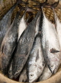 THAILAND, Koh Phangan Island, Chalok Lum fishing village, catch in basket, THA2027JPL