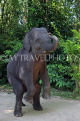 THAILAND, Phang Nga Province, KHAO LAK, Elephant Trekking, Elephant Show, THA4441JPL