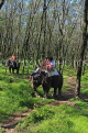 THAILAND, Phang Nga Province, KHAO LAK, Elephant Trekking, THA4417JPL
