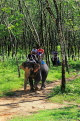 THAILAND, Phang Nga Province, KHAO LAK, Elephant Trekking, THA4427JPL