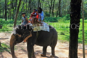 THAILAND, Phang Nga Province, KHAO LAK, Elephant Trekking, THA4432JPL