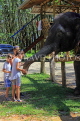 THAILAND, Phang Nga Province, KHAO LAK, Elephant Trekking, children petting elephant, THA4435JPL
