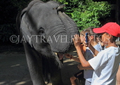 THAILAND, Phang Nga Province, KHAO LAK, Elephant Trekking, children petting elephant, THA4437JPL
