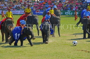 THAILAND, Surin, elephants playing football, THA2119JPL