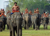 THAILAND, Surin, mahouts on their elephants, THA2115JPL
