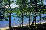 UK, Cumbria, Ambleside, Lake Windermere view through trees, UK6002JPL