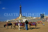 UK, Lancashire, BLACKPOOL, Blackpool Tower, beach and donkeys, UK4914JPL