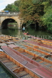 UK, Oxfordshire, OXFORD, Magdalen Bridge, River Cherwell and punts, punting, UK13128JPL