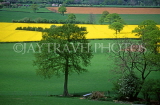 UK, Shropshire, WENLOCK EDGE, Rape fields, UK5576JPL