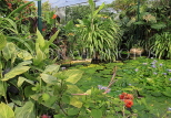 UK, Warwickshire, STRATFORD-UPON-AVON, Butterfly House, Lily Pond, UK25652JPL