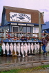 USA, ALASKA, Kenai Peninsula, Homer, anglers displaying Halibut catch, US2677JPL