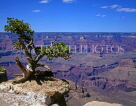 USA, Arizona, GRAND CANYON, South Rim view, GC38JPL