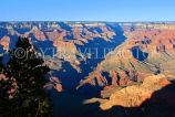 USA, Arizona, GRAND CANYON, South Rim view, US4685JPL