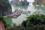VIETNAM, Halong Bay, Bo Hon Island, Sung Sot Caves, harbour view, VT1912JPL