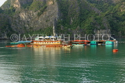 VIETNAM, Halong Bay, Pearl Farm, VT1952JPL
